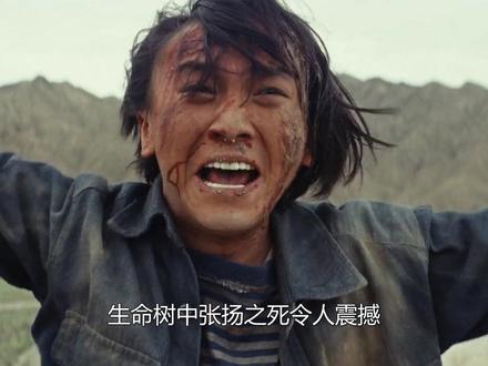 生命树张扬之死,震得人胸腔发麻! 没有慢镜头,没有缓冲,扎西一语成谶#生命树 #杨紫 #胡歌 #生命树值得一追 #多杰