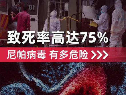 印度爆发疫情!多个邻国警惕!尼帕病毒,为何如此令人忌惮?#尼帕病毒#病毒#印度爆发疫情 #科普