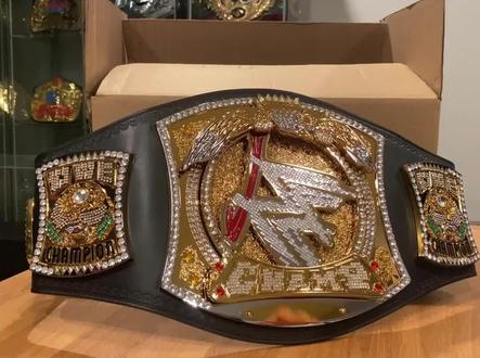 约翰塞纳WWE冠军腰带腰带 是不是你的青春?#wwe #摔角 #约翰塞纳 #万物皆可挂闲鱼
