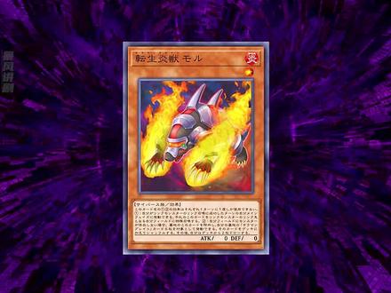 一回合使用三张装备魔法卡,钟爱狮子的尊哥VS风AI #游戏王 #动漫解说 #充能计划