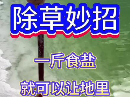 一斤食盐就可以让地里面干干净净?#果园管理 #农业种植 #三农 #服务三农支持三农 #增产增收才是硬道理