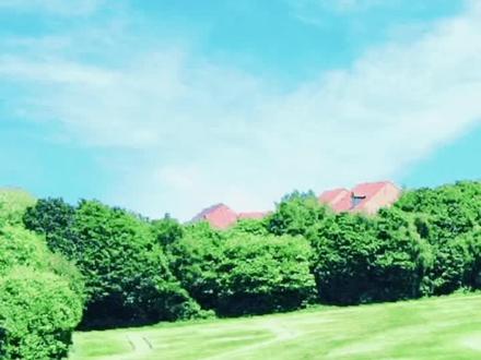 心之官则思,思则得之,不思则不得也。