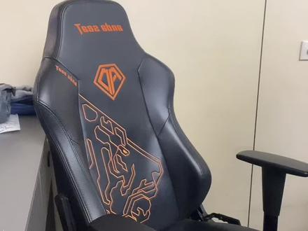 真的太不一样了,牛逼#狗5