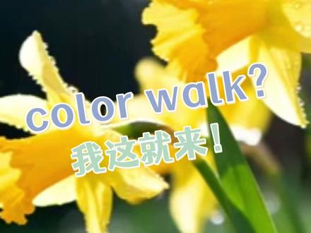 这下就算散步也能玩出新花样啦#citywalk #生活 #治愈 #美学