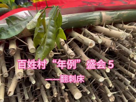 百姓村“年例”盛会 5 ——翻刺床 #游神 #民俗风情 #民俗 #社火