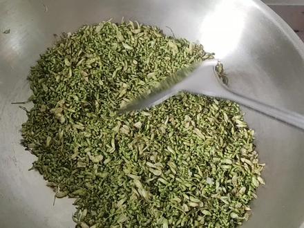 山东淄博人喜欢喝槐米茶,手把手教学,让你喝到自己做的茶! #淄博头条 #纯天然绿色食品 #洋槐花开了