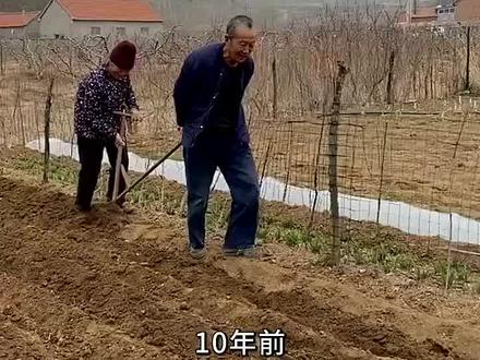 【网红爆款】小熊袜上市啦!100%纯棉舒适透气,6双只要99元