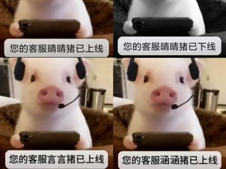 您的客服猪表情包 你的客服小猪已上线表情包 客服猪表情包头像制作 客服猪表情包动态制作 猪表情包怎么制作 你的客服已上表情包原图 客服猪已上线表情包制作
客服猪表情包制作教程来了#客服猪表情包制作 #小云雀AI #小云雀爆款马上成片 #小云雀seedance#芯有云雀创作飞跃 客服猪表情包制作 你的客服猪已上线表情包怎么做 小猪客服表示包 你的客服猪已上线头像 客服猪表情包图片素材 客服猪表情包制作方法 客服猪 客服猪表情包制作