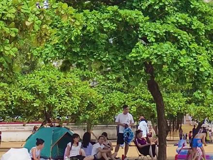 #香港 跟團香港遊的朋友一定來過淺水灣了🎈淺水灣位於香港島的南區,鄰近赤柱、深水灣等地,是香港頂級富人區之一,淺水灣泳灘也是香港熱門沙灘,海灘足足長292公尺,形狀呈彎月形,加上水清沙幼,沙灘寬闊潔凈而水淺,而且沙灘設施齊全,因此不論是平日還是假日,都會吸引不少人前往遊玩各種沙灘運動及水上活動,游水、曬太陽、打沙灘排球等等,海灘旁邊的鎮海樓公園,園內有天后娘娘和觀音菩薩的雕像,而附近的影灣園,歷史風情濃厚,當中的露台餐廳就是張愛玲的小說《傾城之戀》男女主角邂逅的地方,特別適合文青粉打卡❤️淺水灣更是知名日落好去處,有不少人專程拜訪,就是為了在沙灘上漫步,觀賞黃昏浪漫美景!
前往方法📍:(評論區附淺水灣位置和香港地鐵圖)
①中環交易廣場搭乘6、6X或260號巴士→淺水灣海灘巴士站(地鐵中環站A出口或香港站B1出口)
②銅鑼灣渣甸街出發,搭乘40或40X號綠色小巴,於淺水灣海灘下車
#香港旅游 #浅水湾 #香港打卡 #hongkong@汽水音乐APP @DOU+上热门 @DOU+小助手
