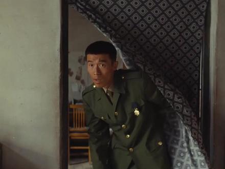 生命树:哥哥白椿是为了白菊放弃提干回来的,但终究只能是妹妹