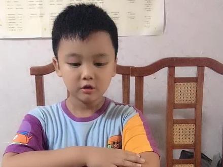 我的世界之掠夺者哨塔组装解说