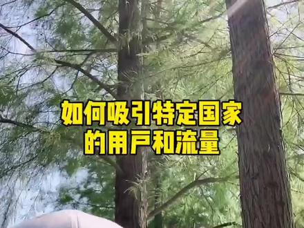 TikTok如何吸引精准粉丝,如何吸引特定国家各地区的粉丝?#TikTok运营 #跨境电商 #外贸 #TikTok