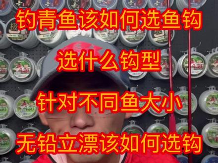钓青鱼该如何选鱼钩,选什么钩型,针对不同鱼大小,无铅立漂该如何选钩#钓鱼人 #2022dou来钓鱼 #户外钓鱼 #钓大物 #黑坑青鱼