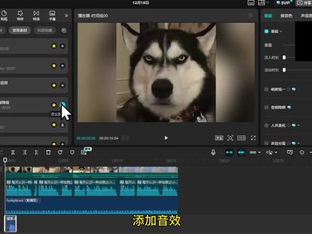 今天拆解的是-动物之歌是如何用AI制作的,趣味动物解说视频教程来啦,来看看我是怎么制作搞笑动物讲解视频的#ai创作浪潮计划 #ai教程 #ai宠物视频#2025AI年终大赏 #青年创作者成长计划
