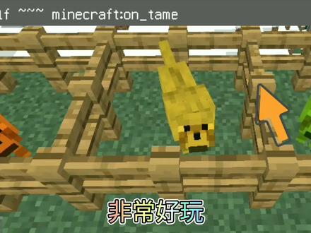 #我的世界 分享我的世界一些有趣的指令精华 #minecraft #mc