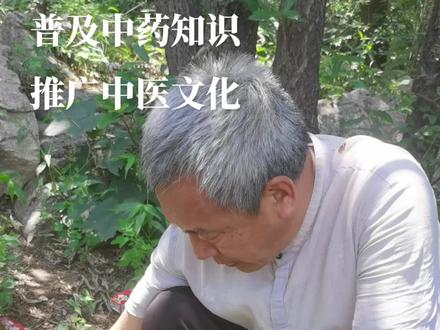 半夏
每天认识一种中药材,今天认识下半夏。半夏是一种常见的中药材,依据炮制的不同,有法半夏、制半夏,姜半夏,生半夏等等叫法,临床应用根据不同的适应症,选用不同的半夏进行治疗。同时需要注意的是,半夏有-定毒性,一定不能自行应用,一定要在医生或者药师的指导下进行应用。#半夏 #常见的中草药 #中医中药 #大自然的馈赠