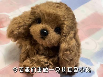 长耳朵小泰迪~#手工 #关节玩偶 #手作玩偶