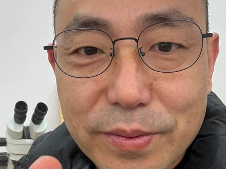 今日金价走势分析:金价高位震荡,切勿盲目追高!#黄金 #白银 #老金匠珠宝 #干货分享 #金价