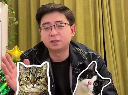 猫界战力天花板 狸花很强,奶牛猫也可一战 #狸花猫 #奶牛猫 #猫咪 #奶牛猫就是神经猫