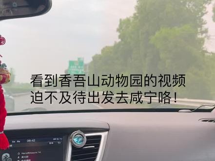 #香吾山动物园 #咸宁文旅 #动物
动物们巨巨巨可爱!!!(原声版)
武汉-咸宁,完美旅行💗