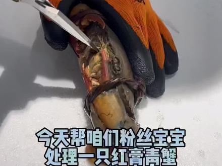 青蟹的处理方式