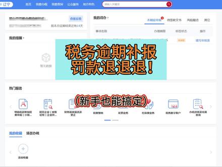 税务逾期,你还不会补报吗?叫我一声师傅,我来教你#营业执照 #零申报 #报税 #代理记账 #个体户