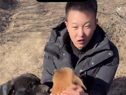 老吴要把杨耀祖改姓为吴耀祖!#西北刀客杨耀祖