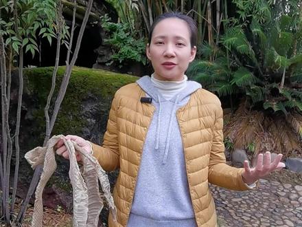 蛇蜕你见过吗?知道有什么用吗?你来说说看😊#蛇🐍 #爱护大自然保护野生动物 #谁知道这是什么 #科普 #现场实拍