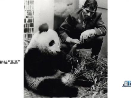 熊猫外交+和平议题,马克龙访华藏深意 专家:马克龙借“熊猫外交”体现对民意关注,也为中法关系发展注入新活力#凤凰聚焦 #马克龙 #熊猫