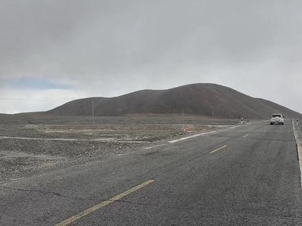 是狼给的诱惑 #赵朔 #网红狼 #狼的诱惑 #转场