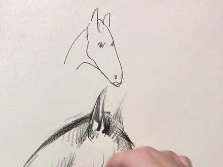 大家快来按照我的方法一起来画一下马吧😄#每日一画 @抖音小助手