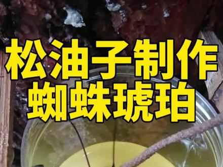 松油子能不能制作成琥珀蜜蜡,小伙子亲自实验 #琥珀蜜蜡 #文玩手串