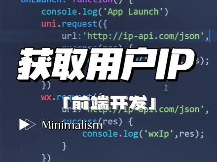 前端开发小技巧——获取用户IP地址#程序员 #前端 #代码 #技术分享 #html