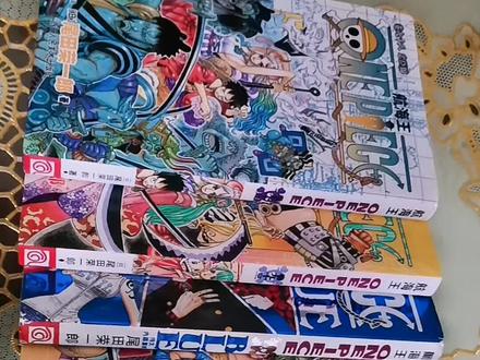 二次元#漫画#航海王 凑齐100卷的话,至少一千多块钱#收藏爱好者 #连环画