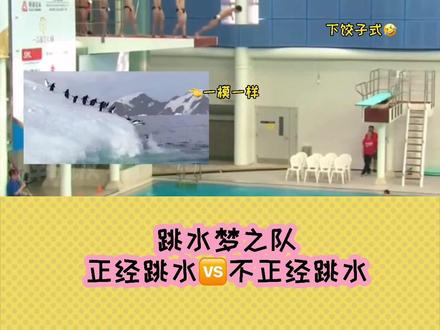 笑拉了🆘跳水梦之队论成绩天下无敌,论调皮也是天下无敌,中国跳水yyds #娱乐评论大赏 #跳水
