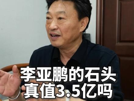 李亚鹏先生收藏的太湖石真的值3.5亿吗?#太湖石 #李亚鹏 #传承弘扬中国文化 #分享是一种快乐 #古玩收藏交流