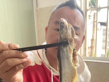 埃及塘鲺开食#美食 #记录真实生活