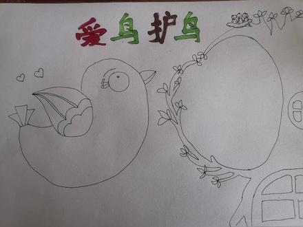爱鸟护鸟手抄报#小学生手抄报 #一起学画画 #爱鸟护鸟