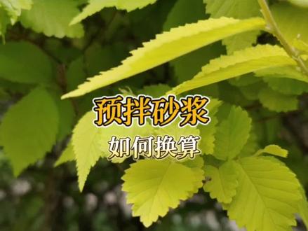 换算预拌砂浆
#工程造价 #建筑工程 #广联达 #知识分享