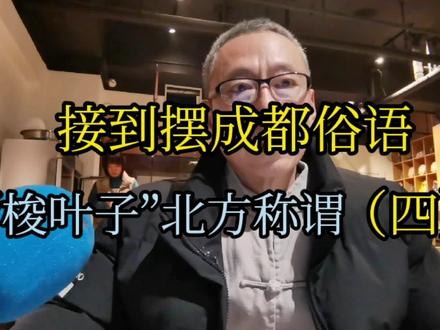成都俗语“梭叶子”南北称谓差异 #文化差异