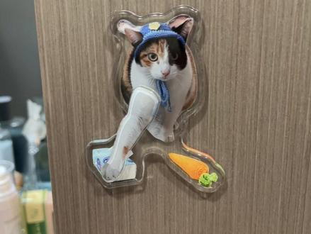 这冰箱贴不咋会呀哈哈哈#玩儿个很新的东西 #萝卜纸巾猫咪 #冰箱贴