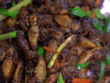 有没有想吃的?#同城美食#雄蚕蛾 #凤城回家吃饭铁锅炖 @抖音小助手