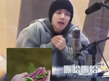 小叶子配音=侯明昊的可爱暴击!#侯明昊 #小叶子 #红烨 #可爱到爆炸💥 #电视剧逍遥