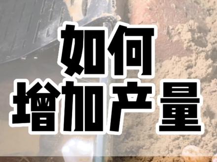 乌龟如何提升产量?#蛋龟 #爬宠 #斑纹泥龟#养龟日常 #养龟人 @北京老麦