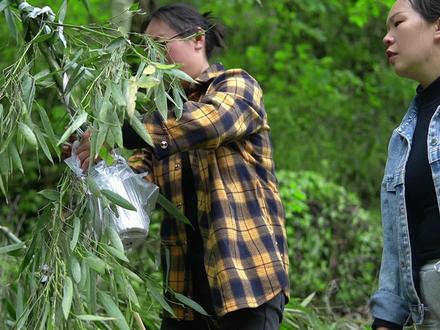 体寒的人不适合,鲜竹沥可以清肺热,止咳化痰,前人留下的经验需要传承下去,一星期后,竹沥水顿鸡汤,期待#乡村守护人 #新农人计划2023 #感受大自然的气息和美景 #我的乡村生活