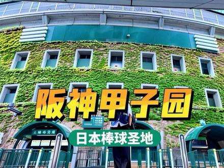 日本棒球圣地-阪神甲子园#有趣的知识又增长了#涨知识#科普#省流 #甲子园