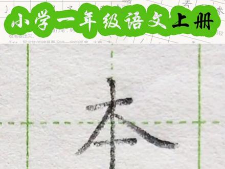 小学一年级语文上册生字“本”#练字#写字#一年级 #硬笔@抖音小助手 一起练字吧