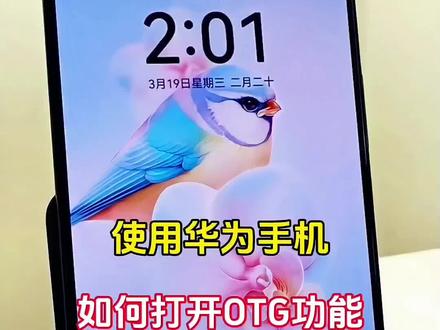 使用华为手机如何打开OTG功能#手机使用技巧 #玩转数码 #内容启发搜索 #华为手机小技巧 #鸿蒙玩机技巧