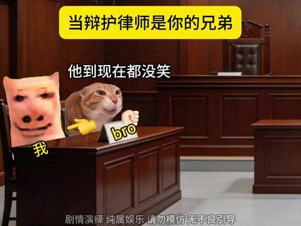 当辩护律师是你的兄弟 #猫meme #猫meme日常 #猫meme剪辑 #搞笑动画
