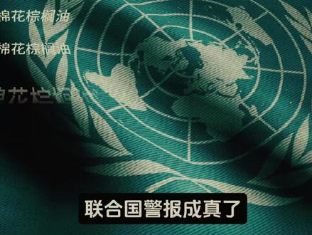 上次联合国凌晨拉警报,我说的是“一旦减产实锤”。现在,实锤来了。不是一把,是三把,同时落下。#联合国警报#尿素#期货#粮食危机#付海棠